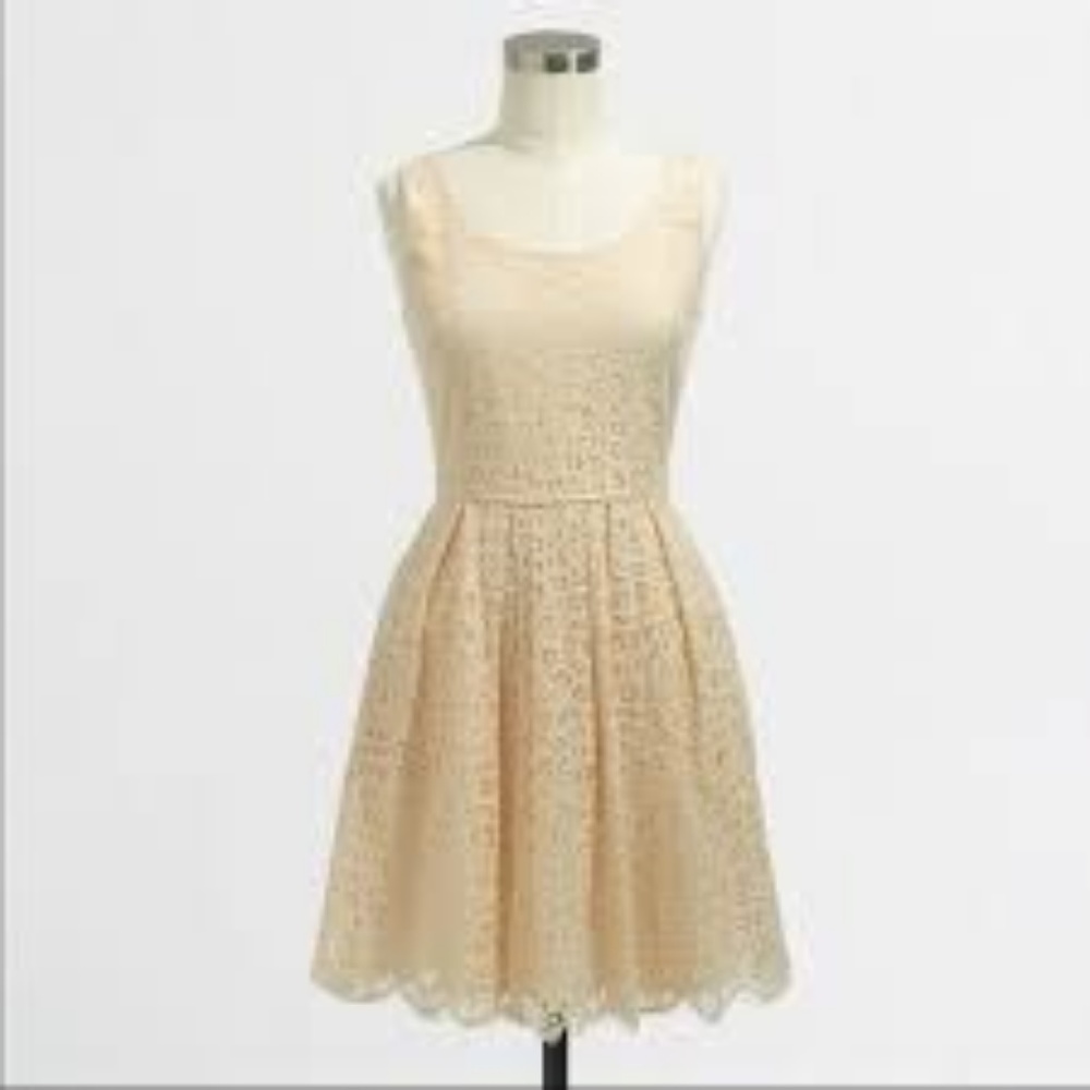 J. Crew Swirling Lace Dress